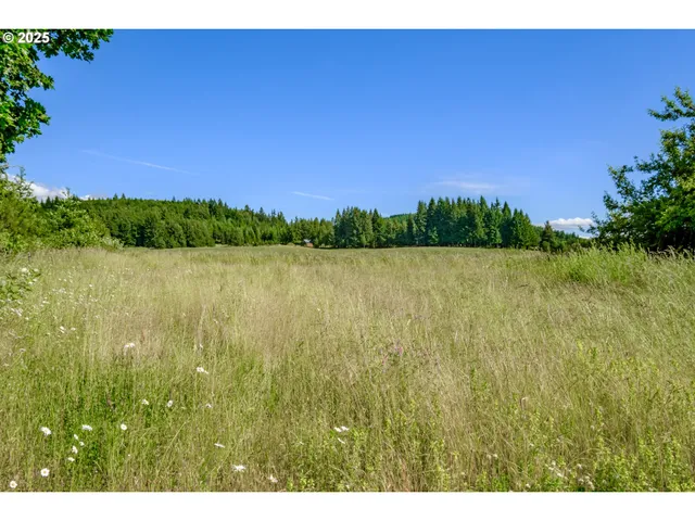 a view of a green field