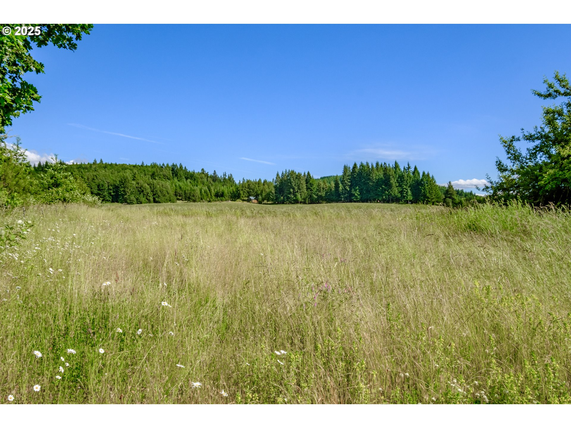 23380 Hoskins Road Philomath, OR 97370 - Photo 9 of 12 a view of lake with green space