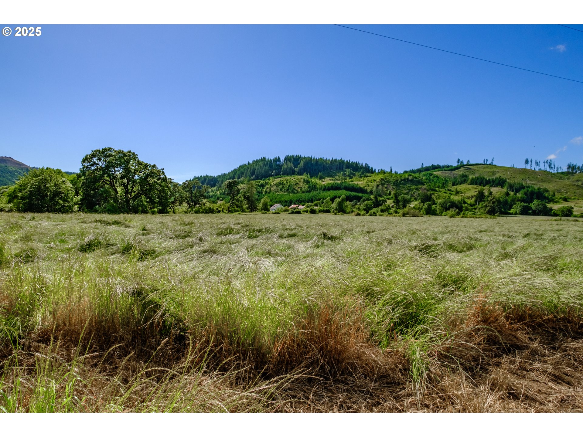 23380 Hoskins Road Philomath, OR 97370 - Photo 10 of 12 a view of a green field