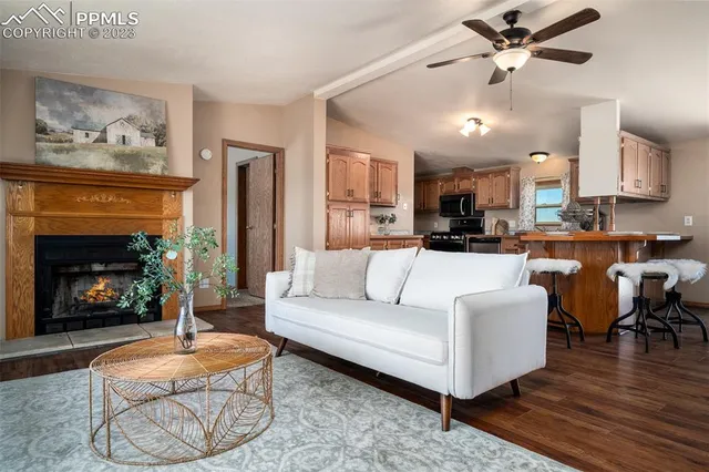 a living room with furniture and a fireplace