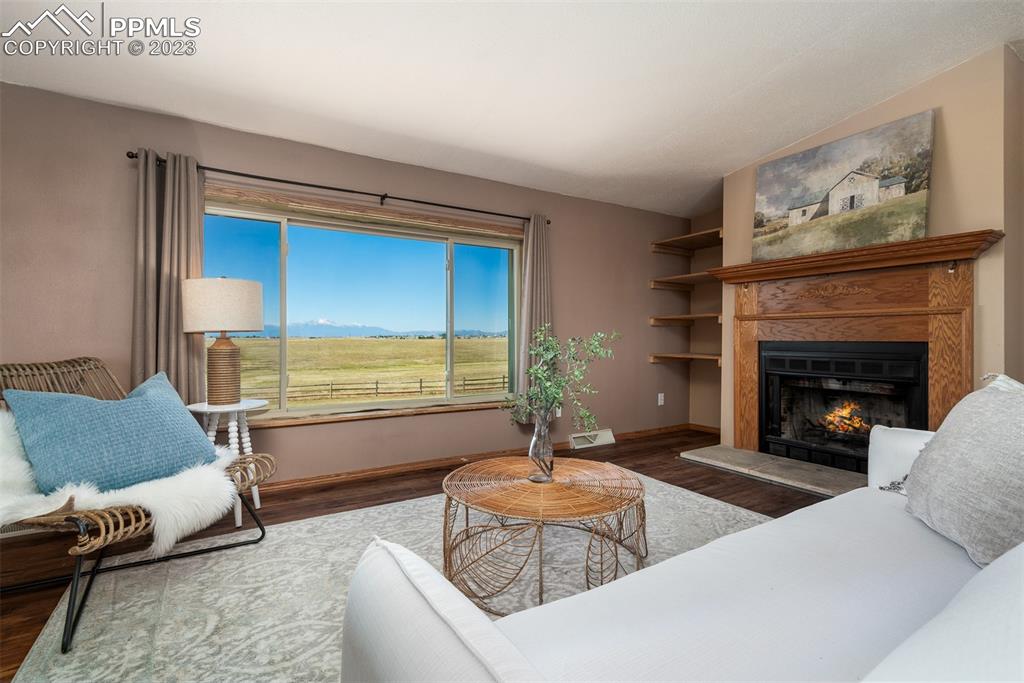 5695 Peerless Farms Road Peyton, CO 80831 - Photo 8 of 50 a living room with furniture and a fireplace
