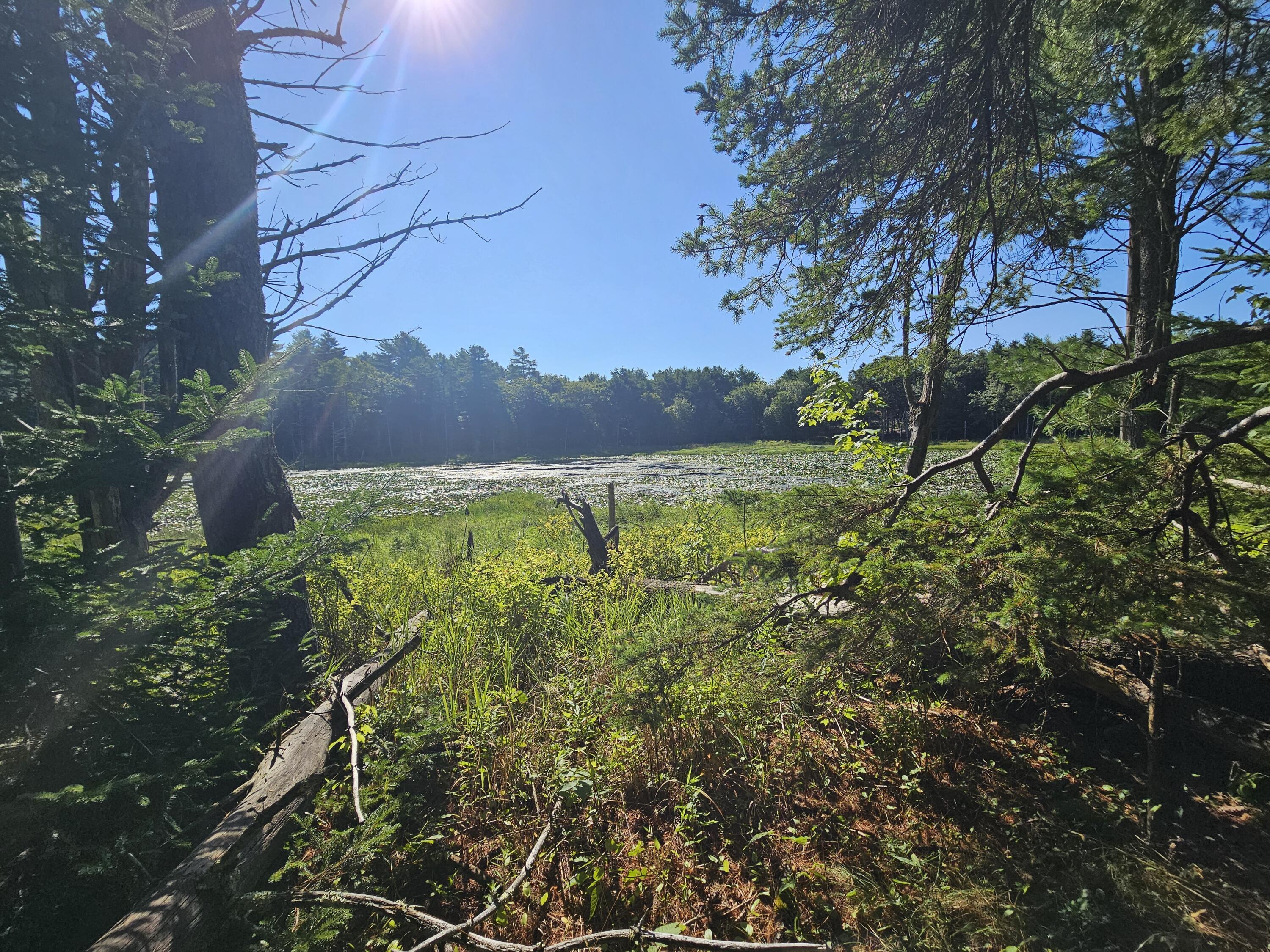 105-26 Back Eighty Road Boothbay, ME 04537 - Photo 2 of 12 2