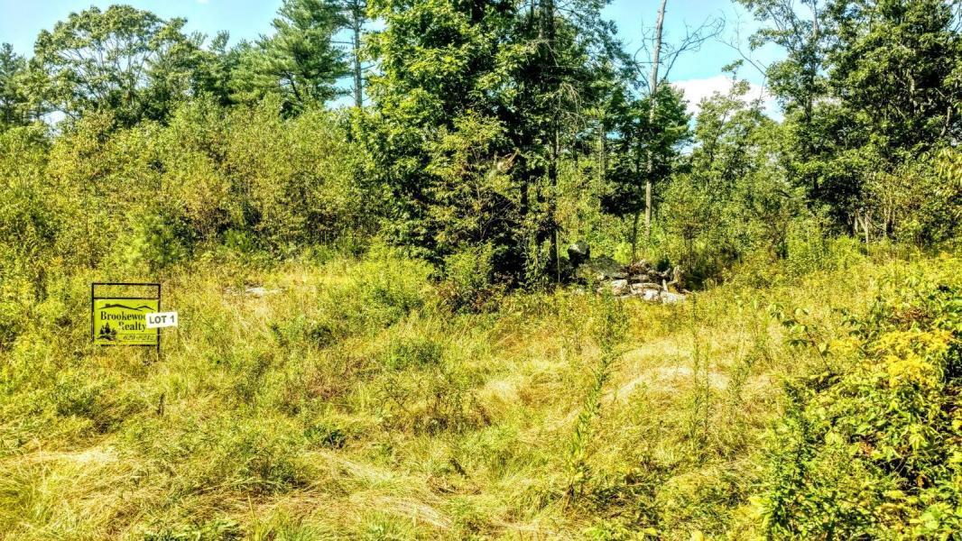 0 Route 218 Road Alna, ME 04535 - Photo 4 of 6 alna 5