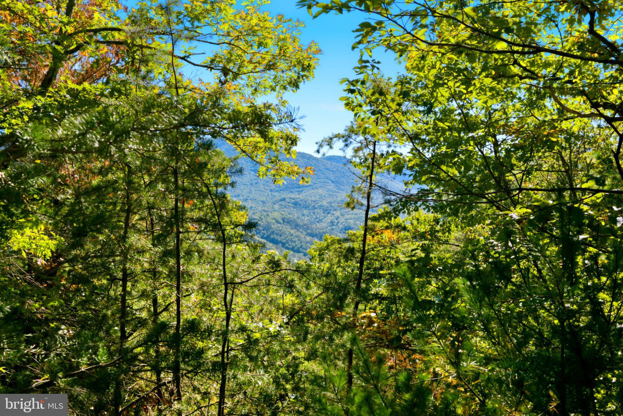 195 Hinkle Mountain Road Milam, WV 26838 - Photo 25 of 26 Gallery Image 25