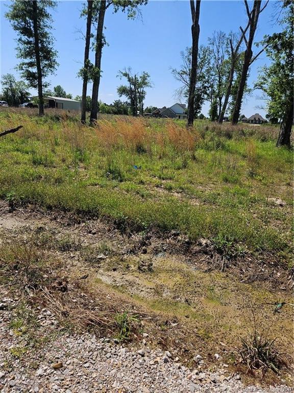 0 Nielson Road Kinder, LA 70648 - Photo 2 of 3