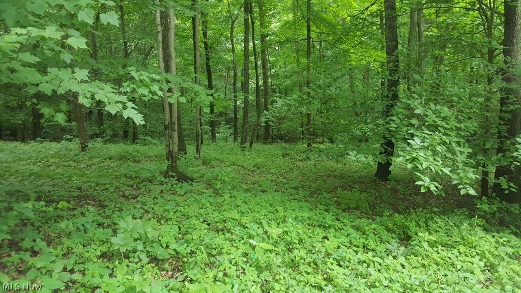 5846 Holmes Church Road Northeast New Philadelphia, OH 44663 - Photo 5 of 34