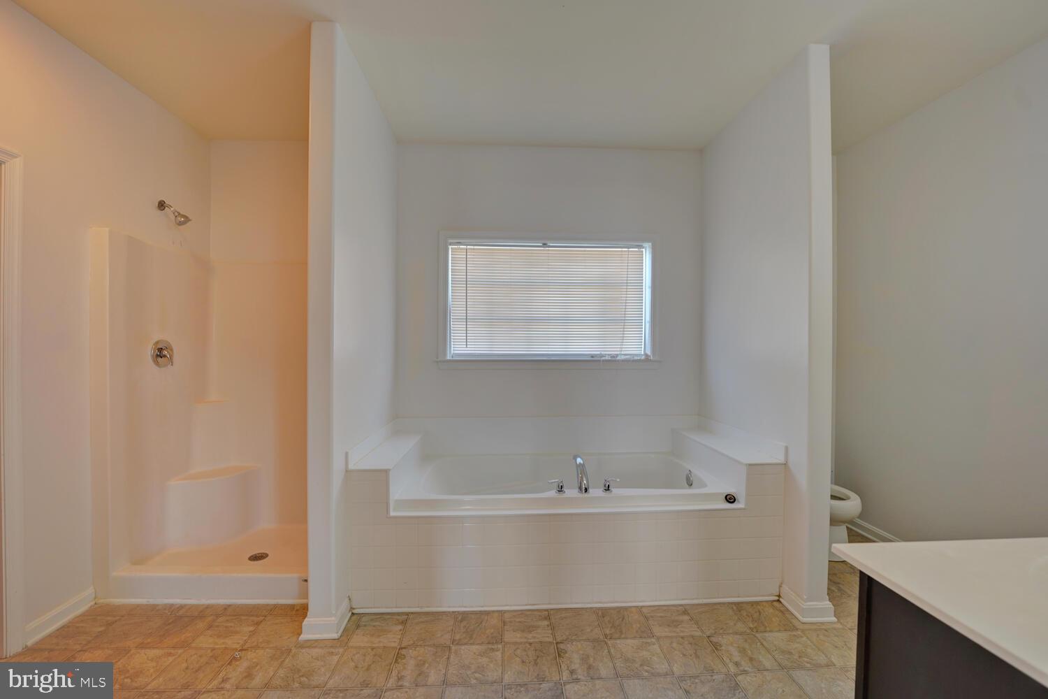 167 Spring Dale Lane Felton, DE 19943 - Photo 31 of 54 a bathroom with a bathtub and shower