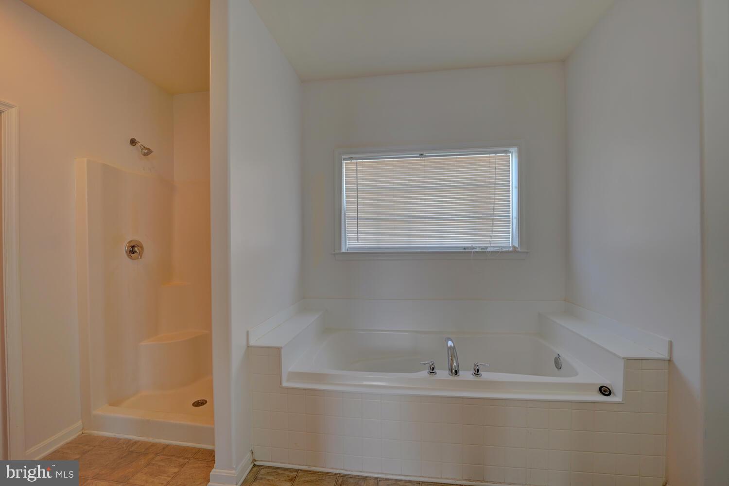 167 Spring Dale Lane Felton, DE 19943 - Photo 33 of 54 a bathroom with a bathtub
