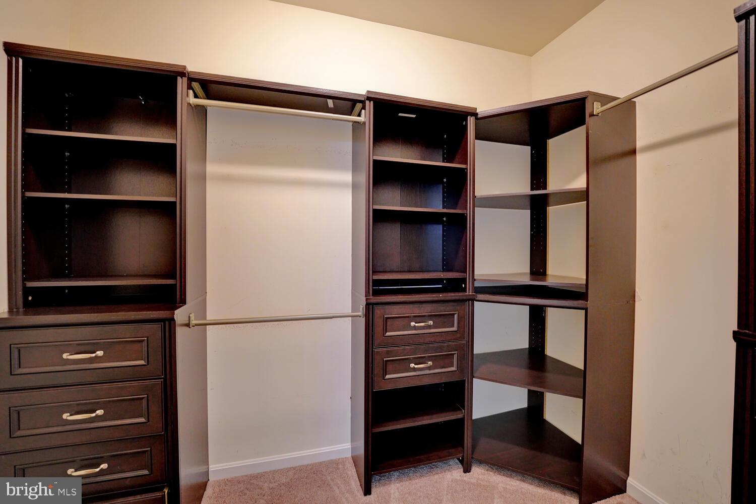 167 Spring Dale Lane Felton, DE 19943 - Photo 34 of 54 a view of walk in closet with empty racks