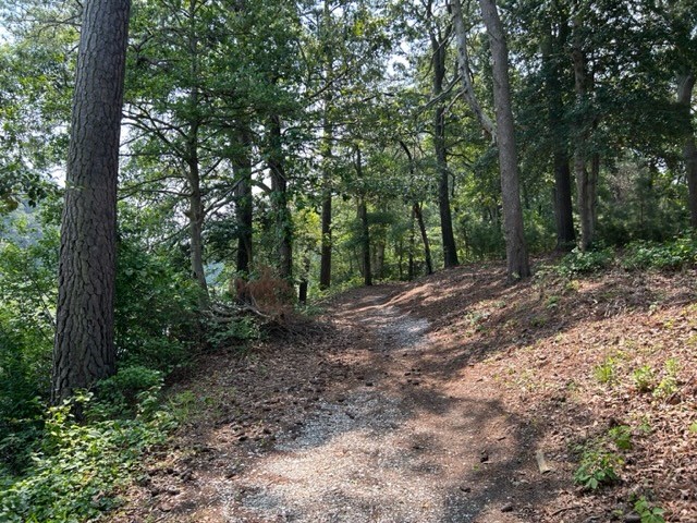 58 Plum Tree Road, Unit 58 Cape Charles, VA 23310 - Photo 26 of 30