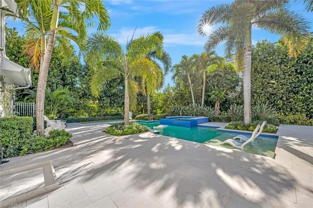 a view of a park with large trees