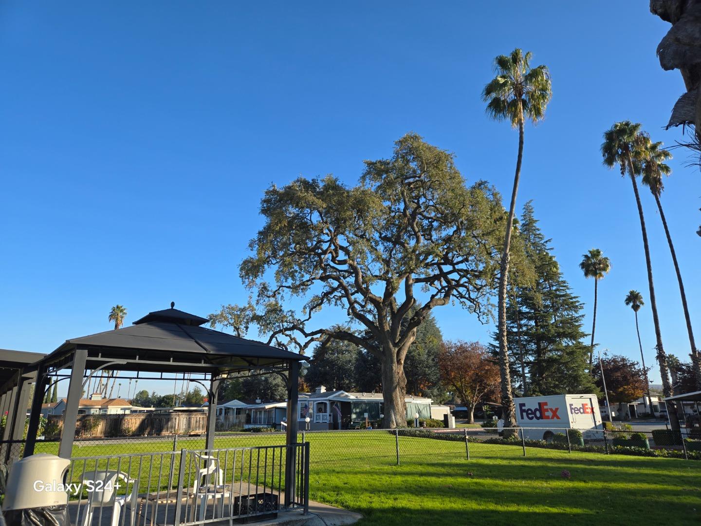 195 Blossom Hill Road, Unit 290 San Jose, CA 95123 - Photo 22 of 28 a front view of a house with a yard