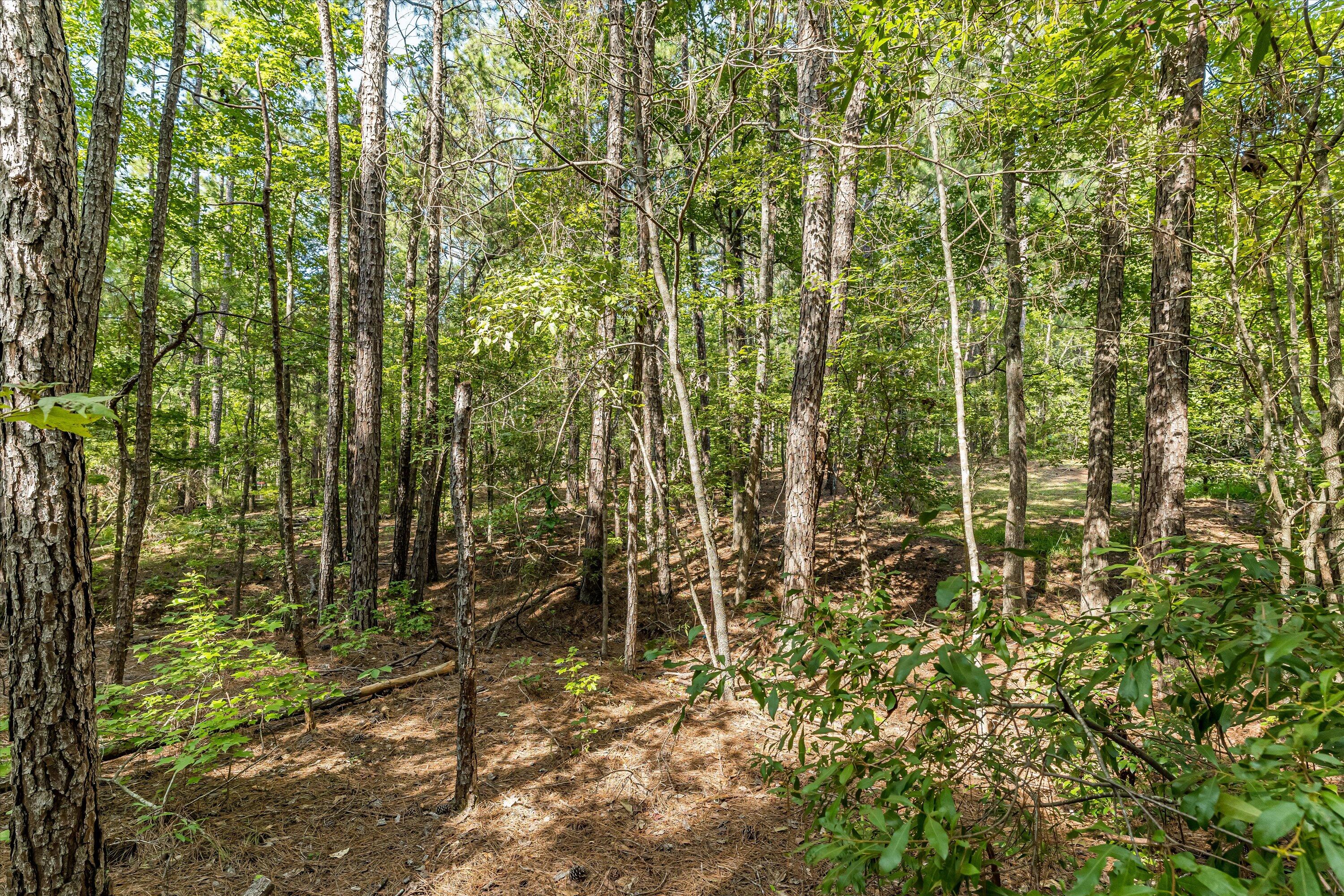 0 Hereford Farm Road Evans, GA 30809 - Photo 11 of 25 09-P1557751