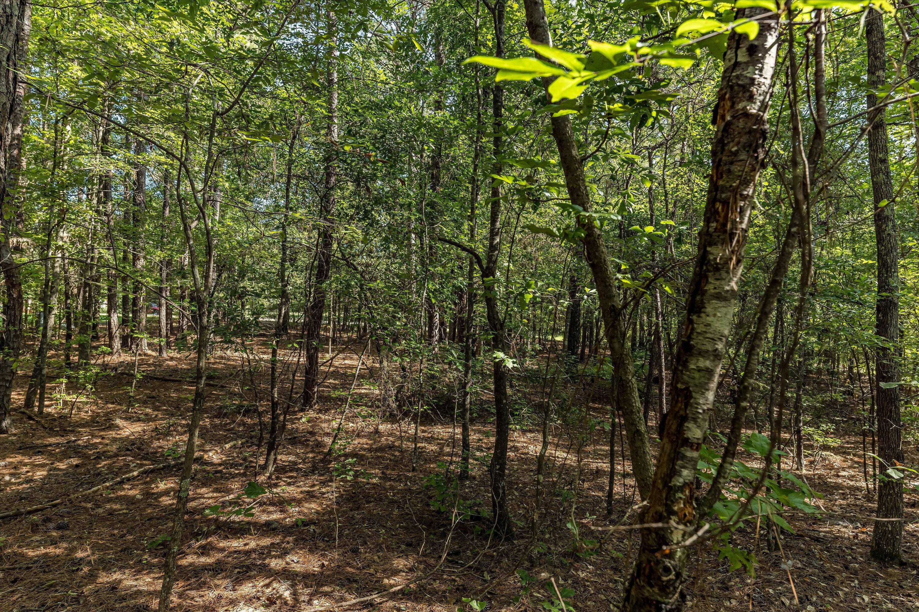 0 Hereford Farm Road Evans, GA 30809 - Photo 12 of 25 10-P1557752