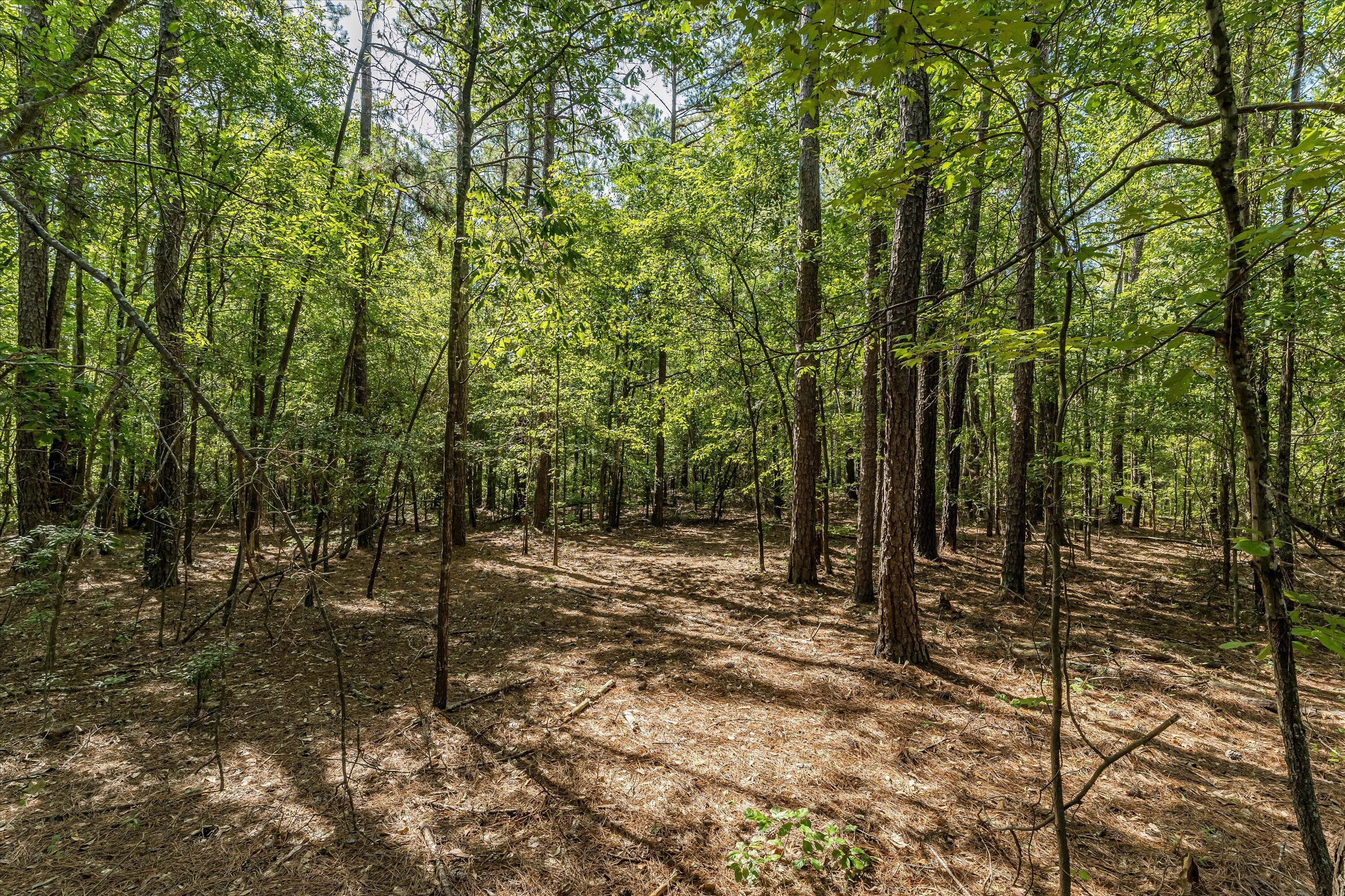 0 Hereford Farm Road Evans, GA 30809 - Photo 13 of 25 11-P1557753