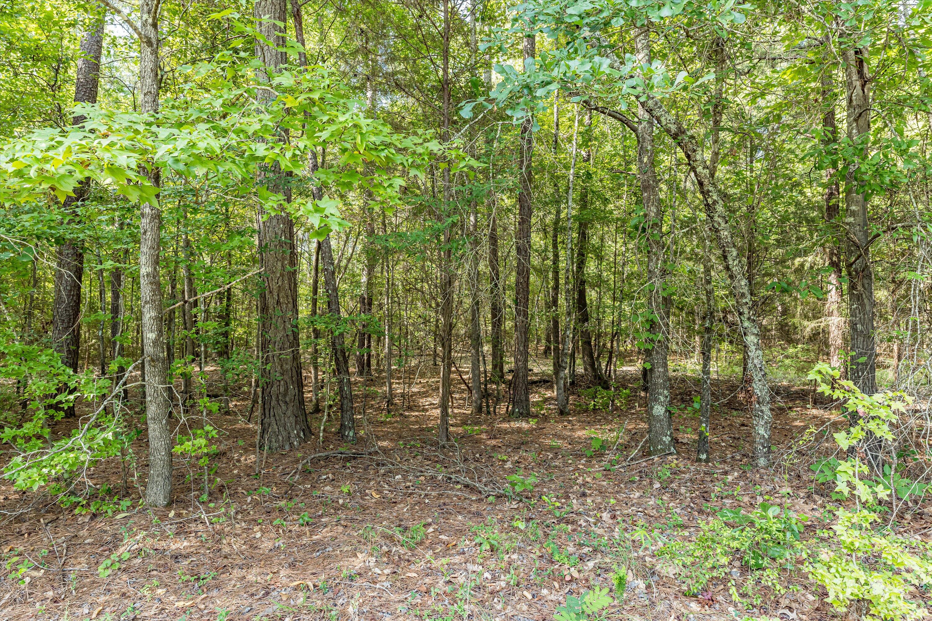 0 Hereford Farm Road Evans, GA 30809 - Photo 17 of 25 15-P1557757