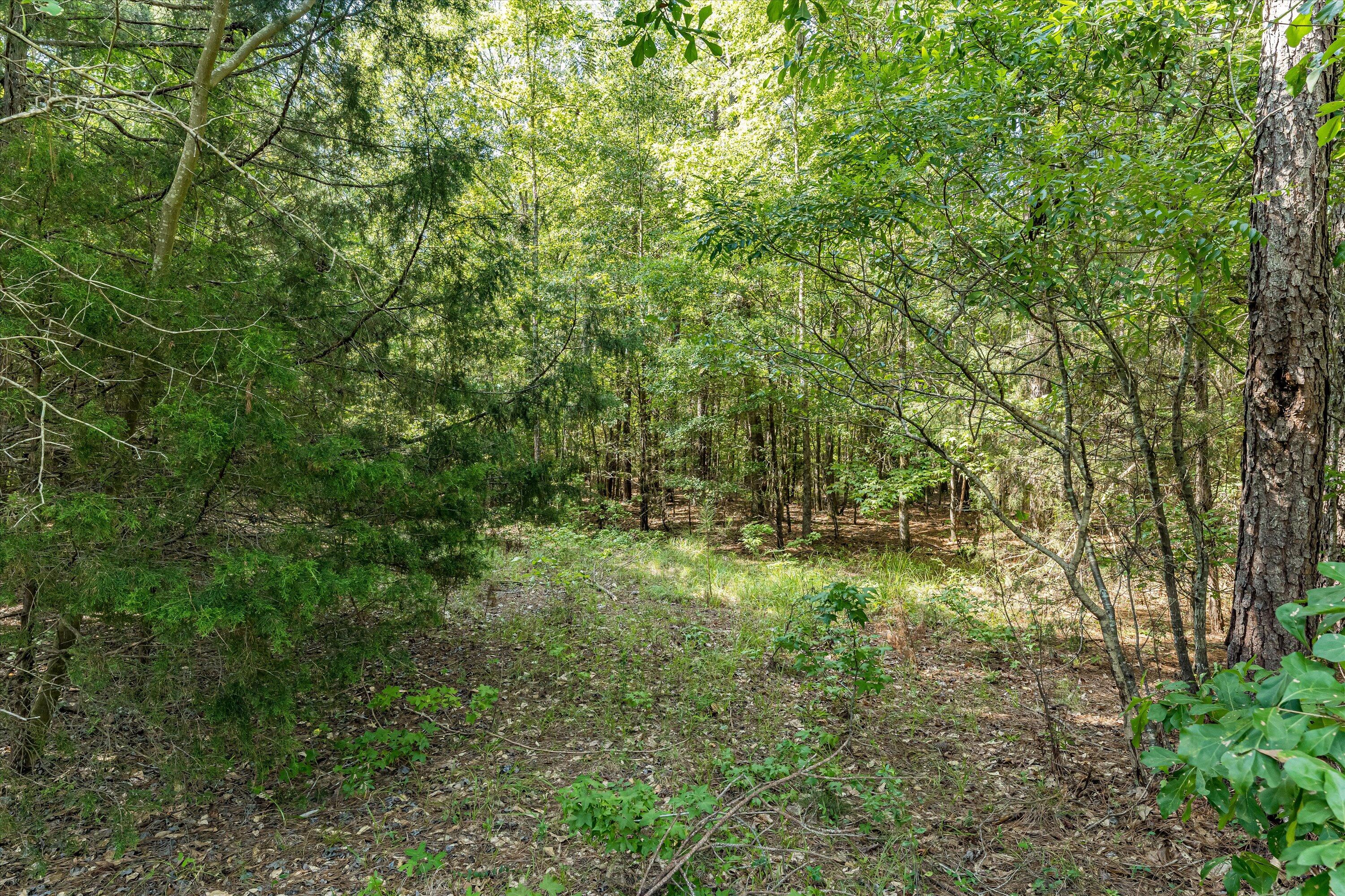 0 Hereford Farm Road Evans, GA 30809 - Photo 18 of 25 16-P1557758
