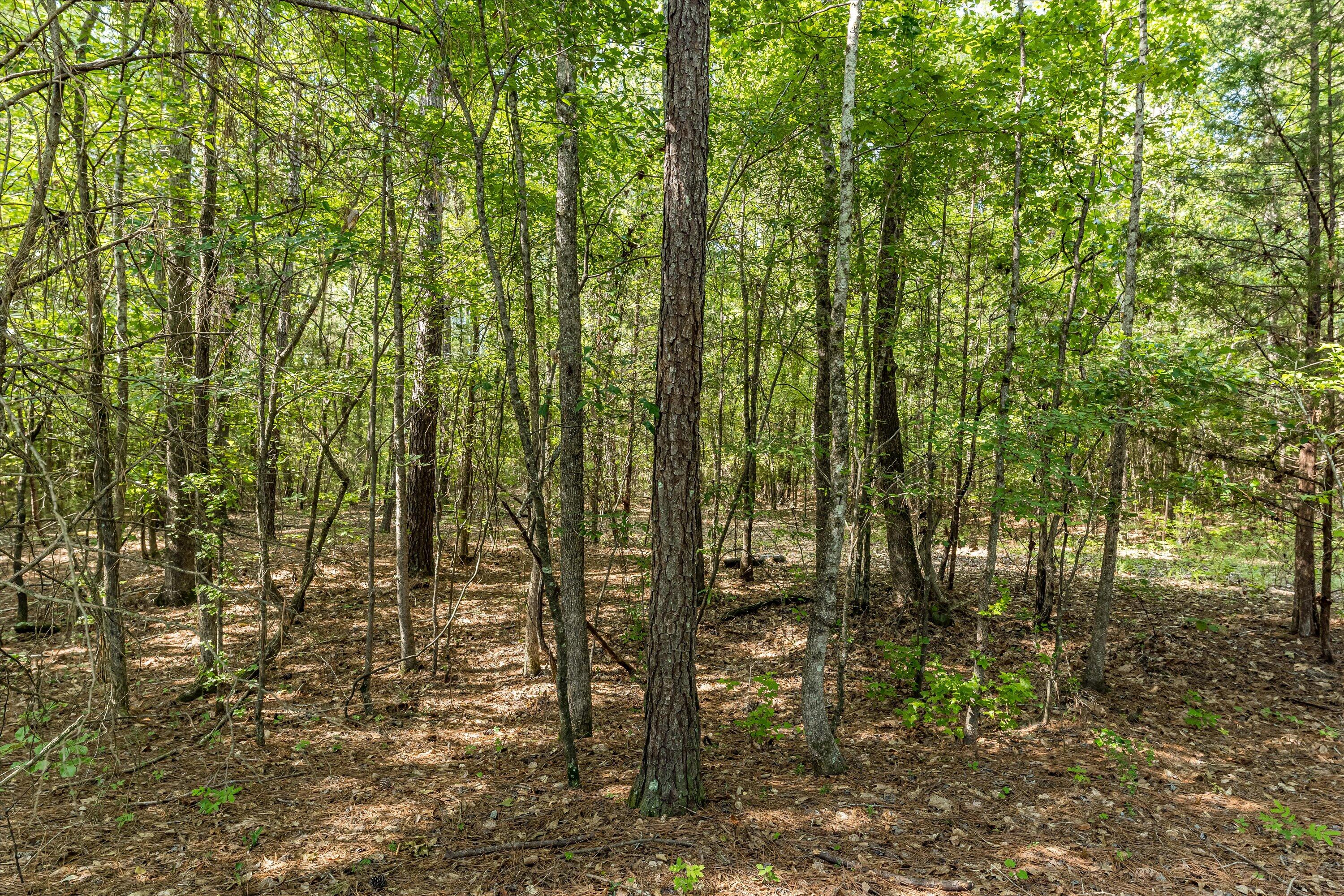 0 Hereford Farm Road Evans, GA 30809 - Photo 20 of 25 18-P1557760