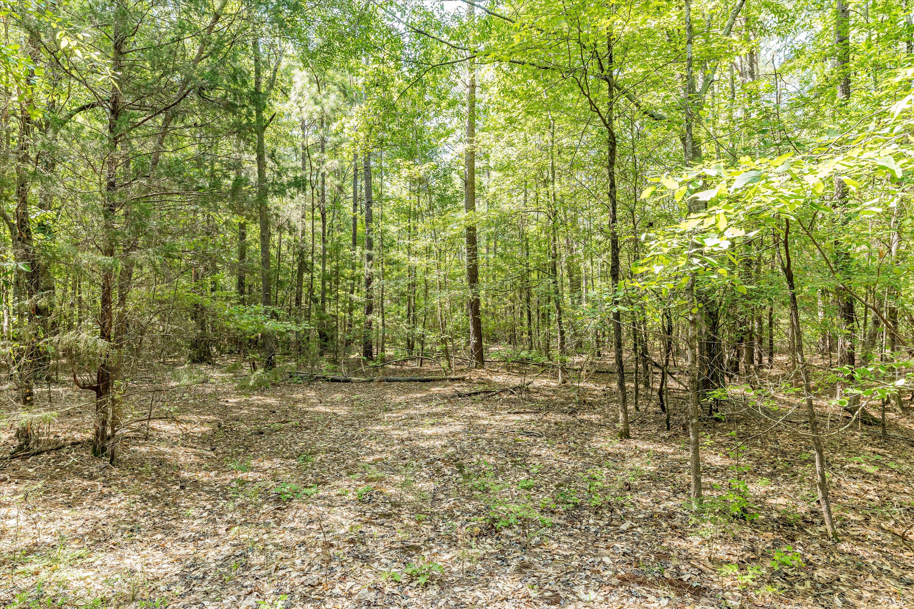 0 Hereford Farm Road Evans, GA 30809 - Photo 21 of 25 19-P1557761