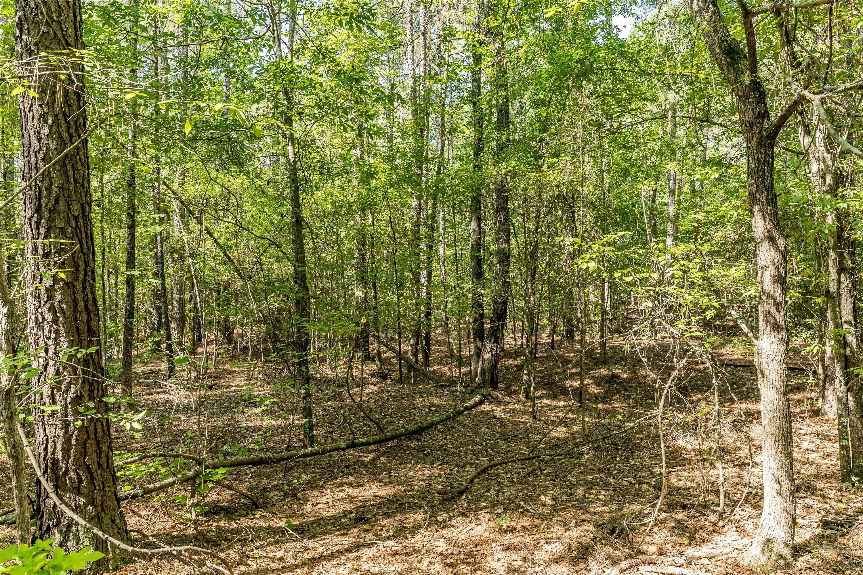 0 Hereford Farm Road Evans, GA 30809 - Photo 22 of 25 20-P1557762
