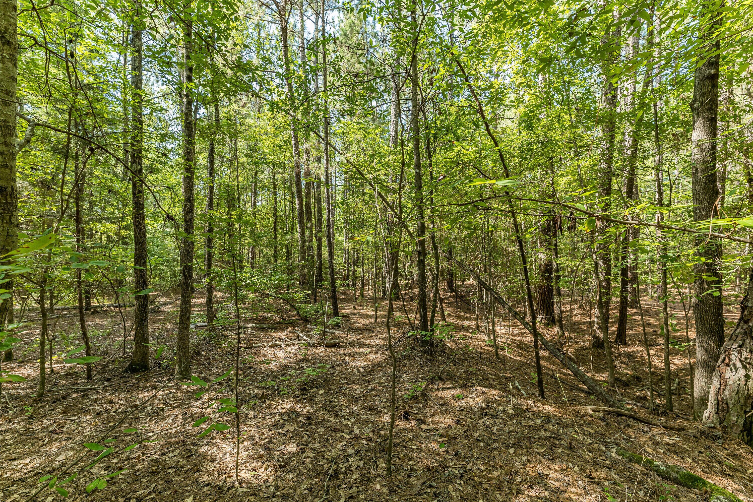 0 Hereford Farm Road Evans, GA 30809 - Photo 23 of 25 21-P1557763
