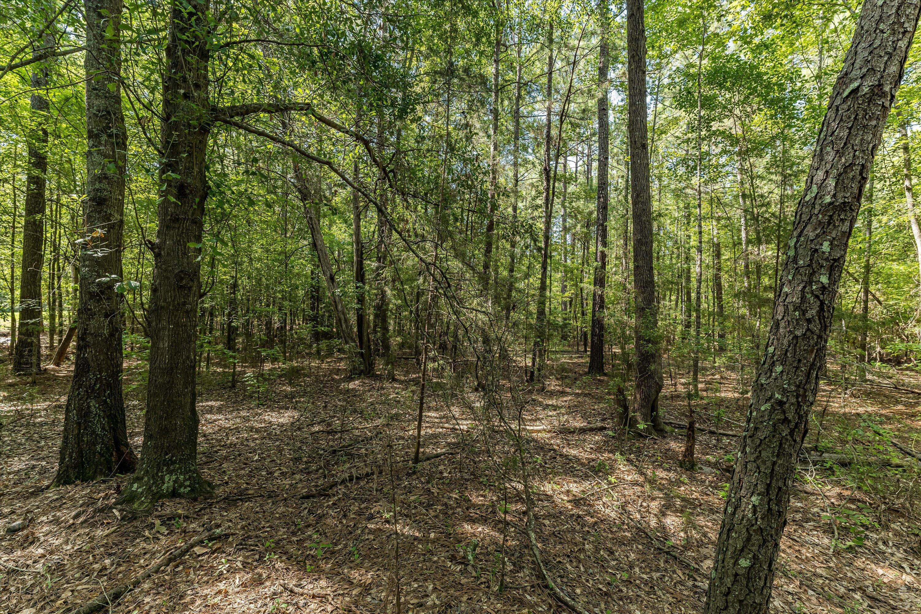 0 Hereford Farm Road Evans, GA 30809 - Photo 24 of 25 22-P1557764