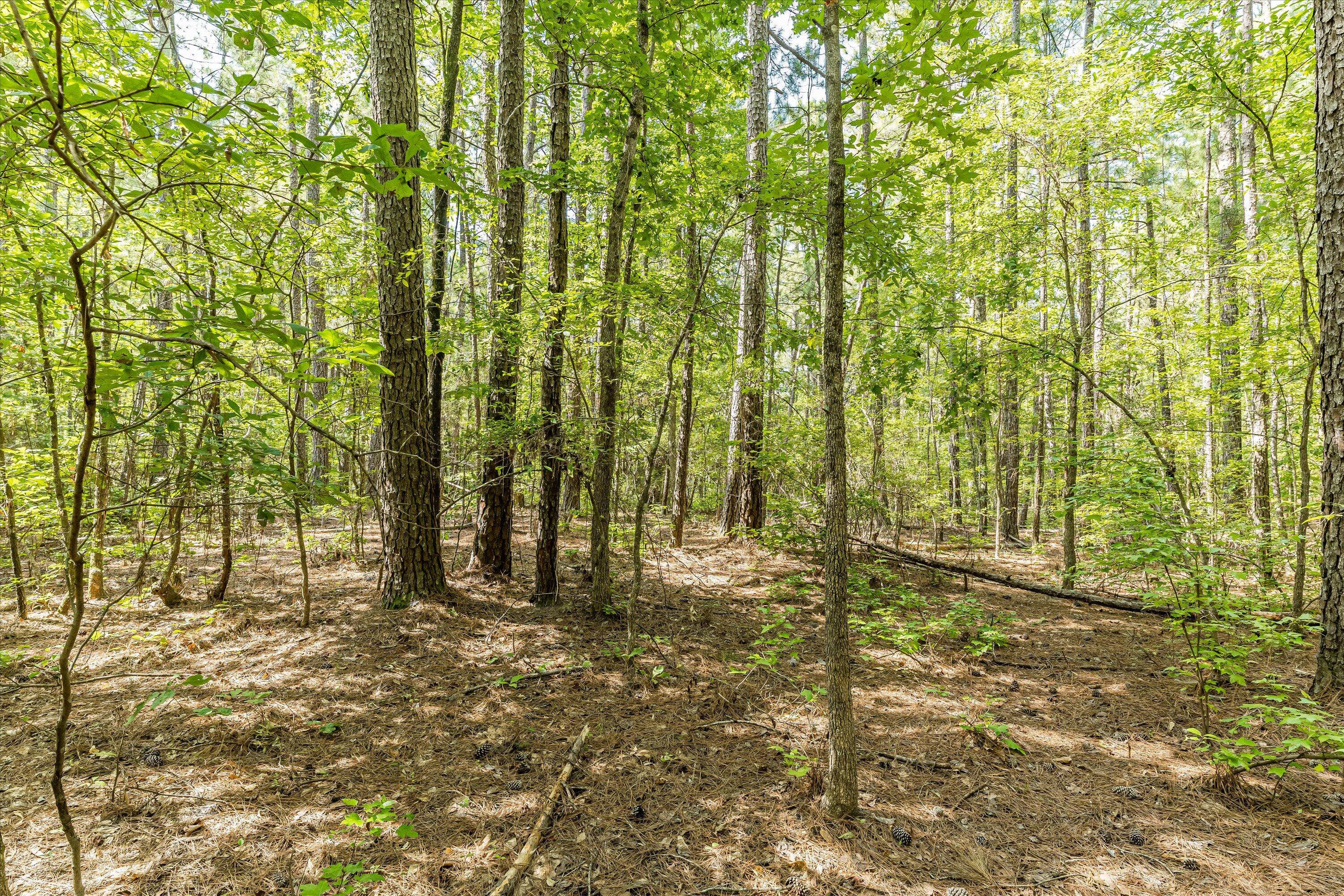 0 Hereford Farm Road Evans, GA 30809 - Photo 8 of 25 06-P1557748