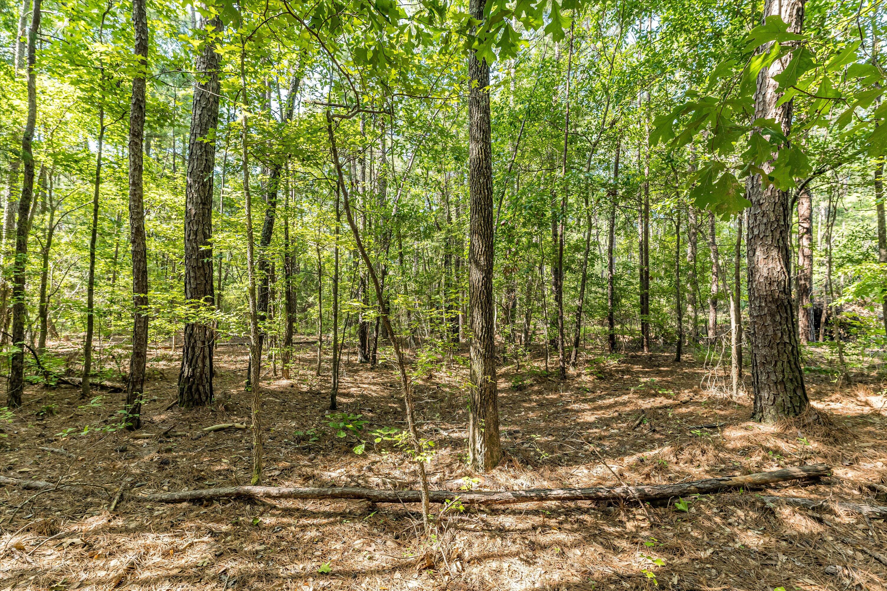 0 Hereford Farm Road Evans, GA 30809 - Photo 9 of 25 07-P1557749
