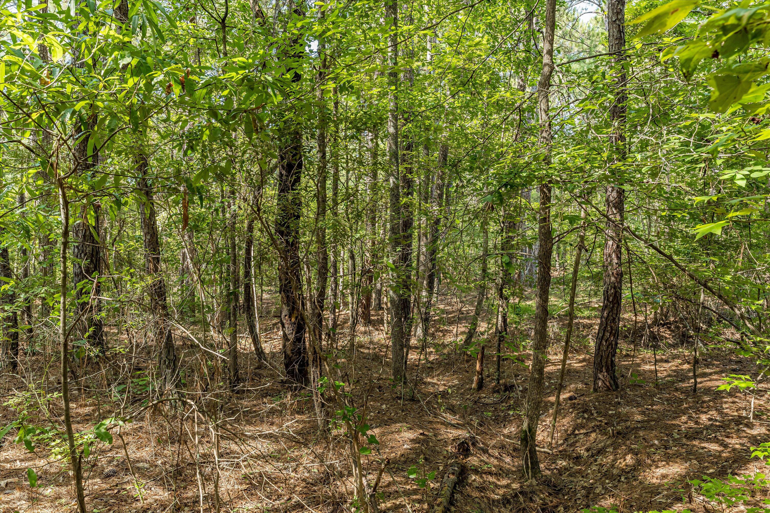 0 Hereford Farm Road Evans, GA 30809 - Photo 10 of 25 08-P1557750
