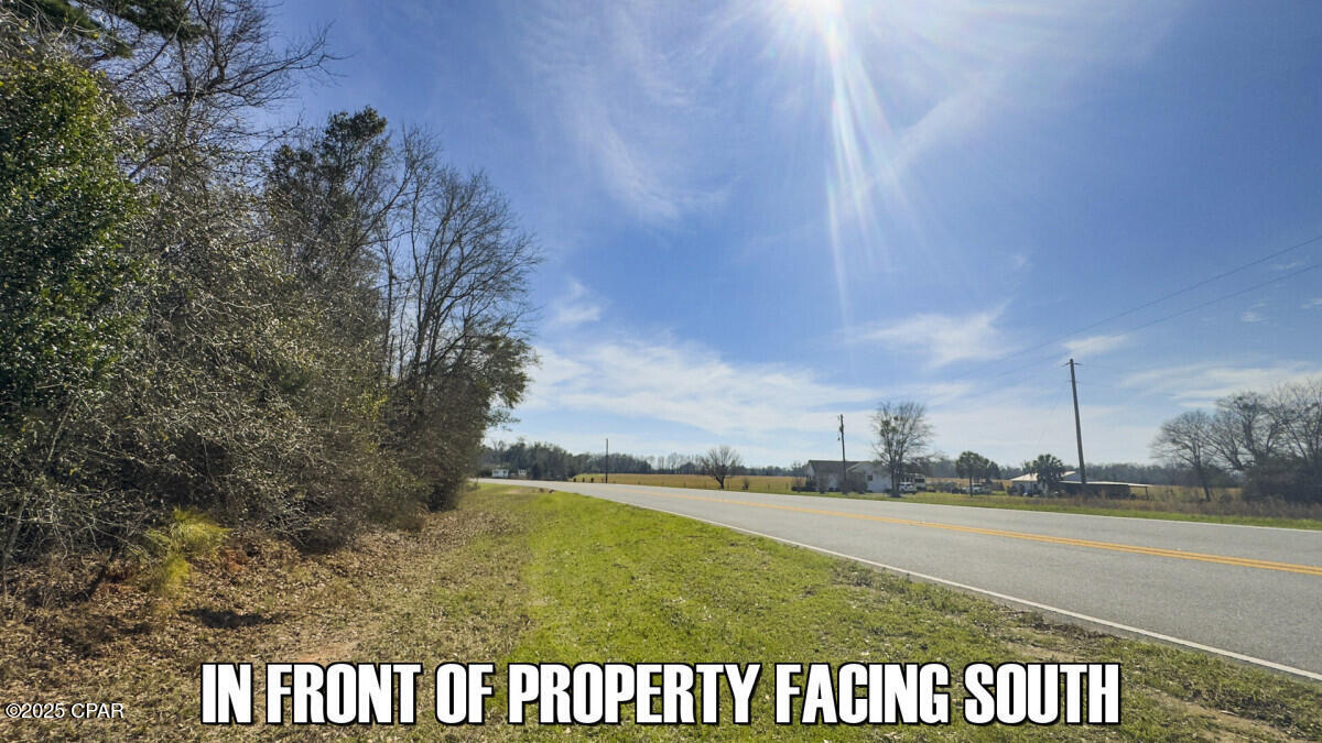 Tbd Salem Church Road Sneads, FL 32460 - Photo 11 of 21 Gallery Image 11