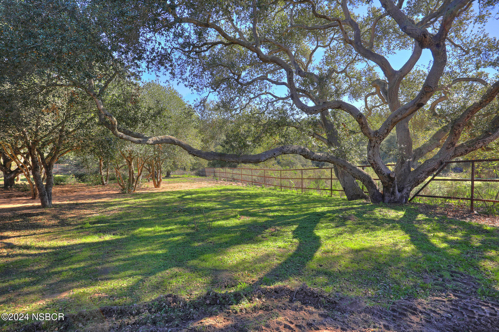 2191 Tularosa Road Lompoc, CA 93436 - Photo 40 of 67 a backyard of a house with a large tree