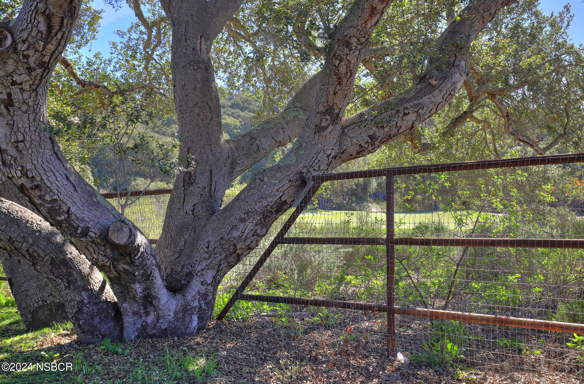2191 Tularosa Road Lompoc, CA 93436 - Photo 41 of 67 a view of outdoor with green space