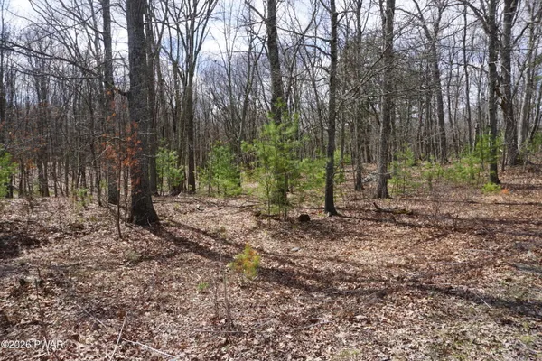 $39,000 | Lot #4 Roosie Road, Dingmans Ferry, PA 18328
