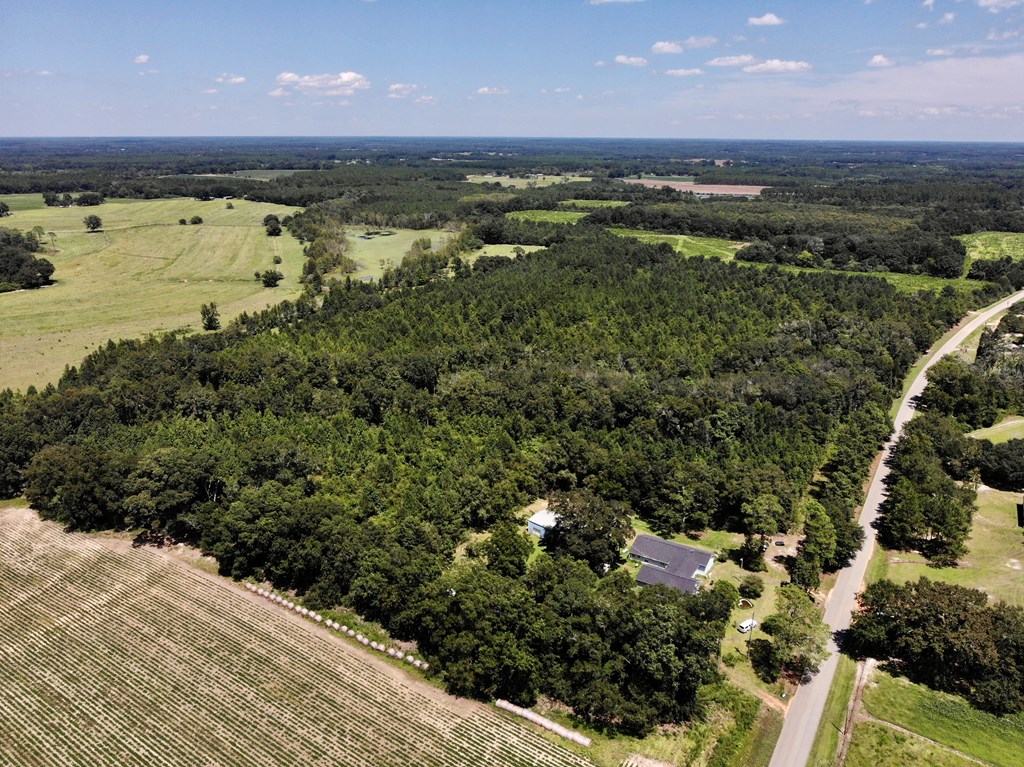 149 East County Road Slocomb, AL 36375 - Photo 3 of 40