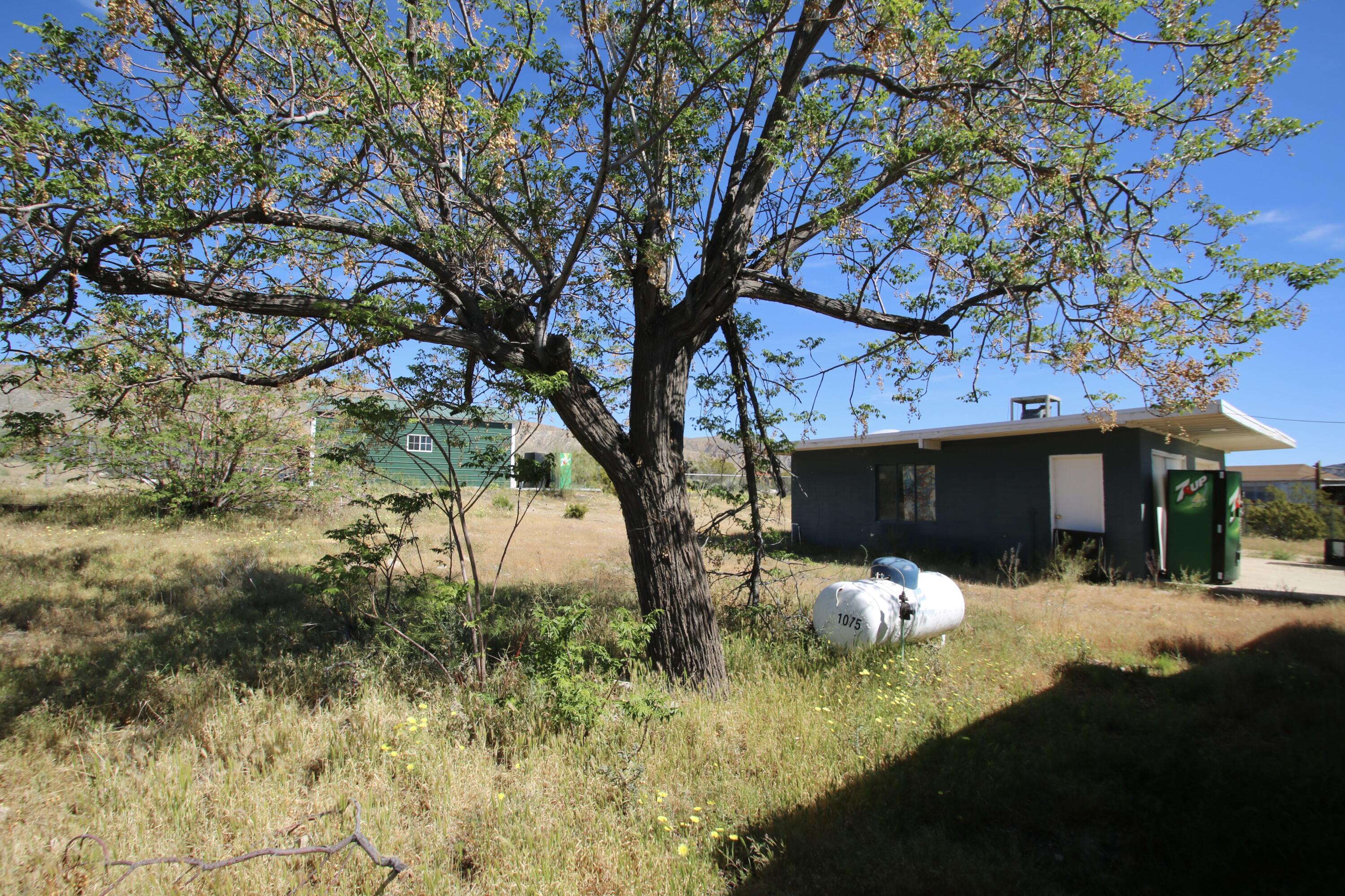 50988 Canyon Road Morongo Valley, CA 92256 - Photo 58 of 68 a view of a house with a yard