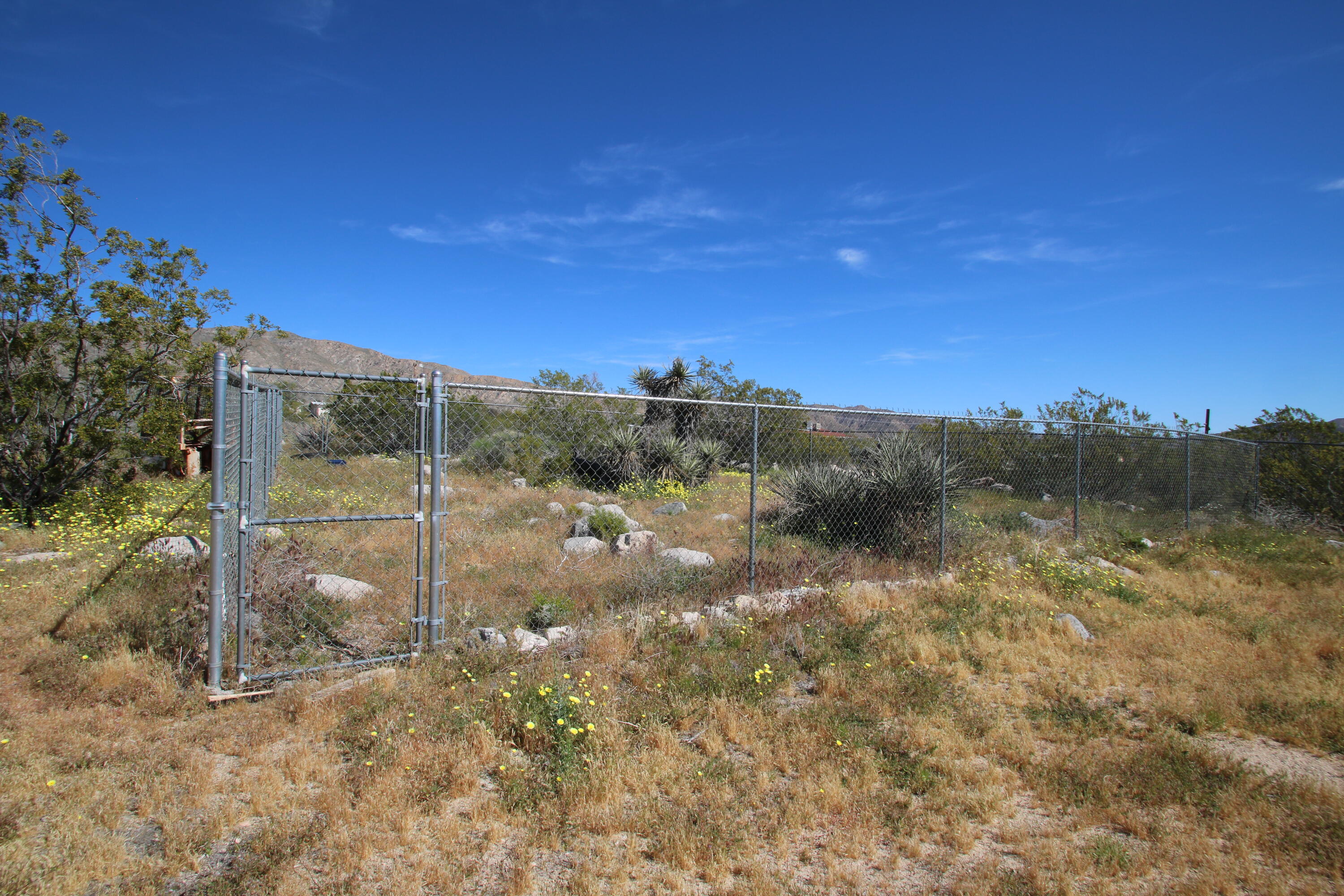 50988 Canyon Road Morongo Valley, CA 92256 - Photo 65 of 68 a view of a yard