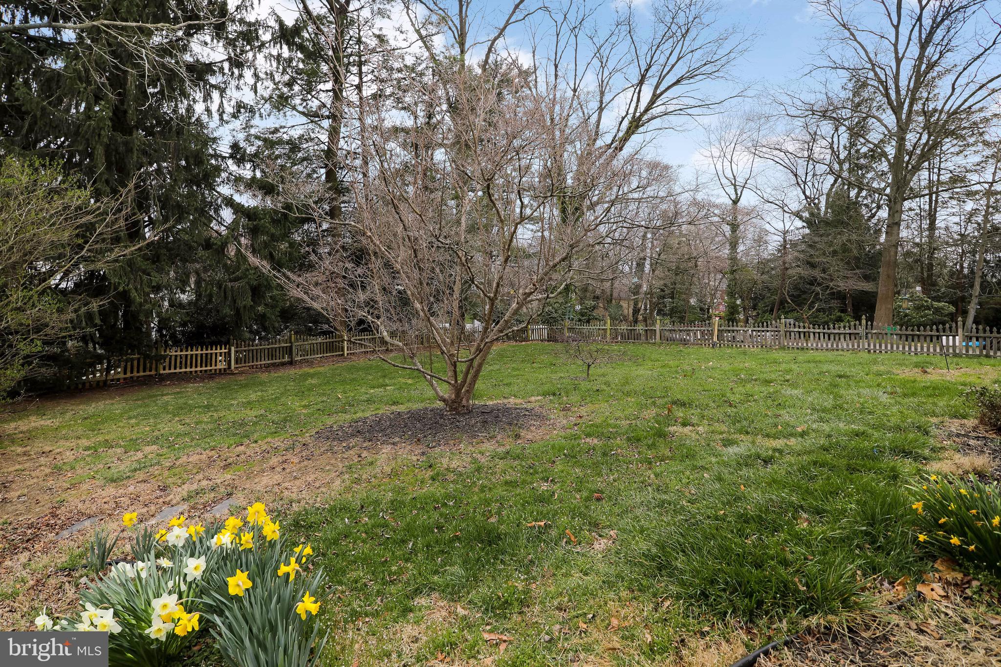 20 Colonial Ridge Drive Haddonfield, NJ 08033 - Photo 53 of 56 Backyard