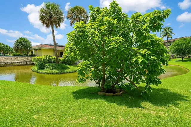 a view of a garden with a lake