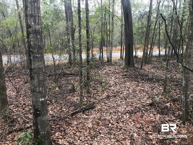23588 Old Weekley Road Bay Minette, AL 36507 - Photo 3 of 30 Glimpse of Old Weekley