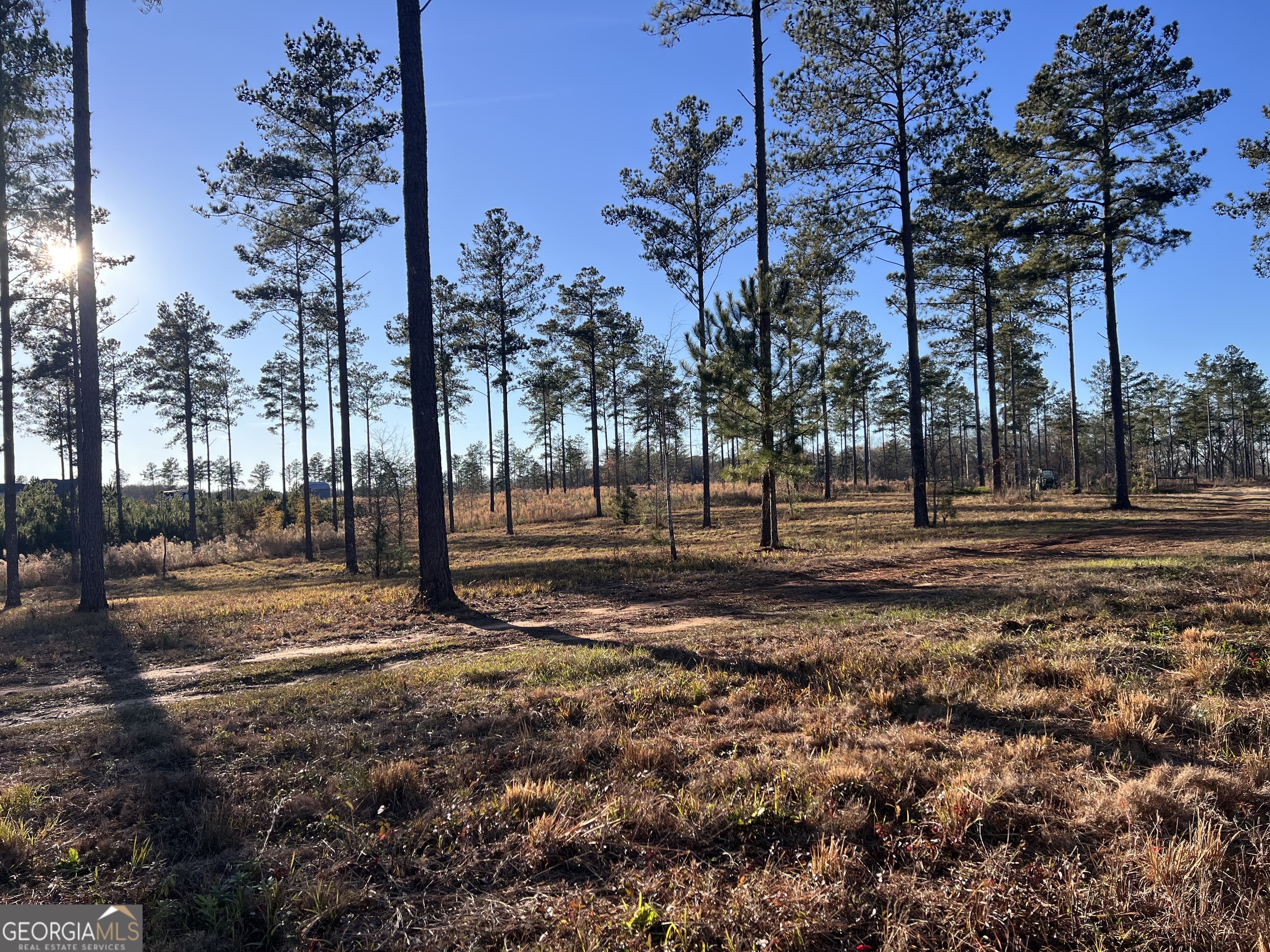 335 Highway 26 Elko, GA 31025 - Photo 14 of 54 a view of a playground area with trees