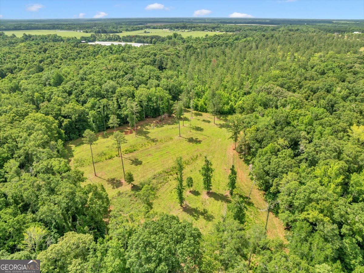 335 Highway 26 Elko, GA 31025 - Photo 19 of 54 a view of a yard