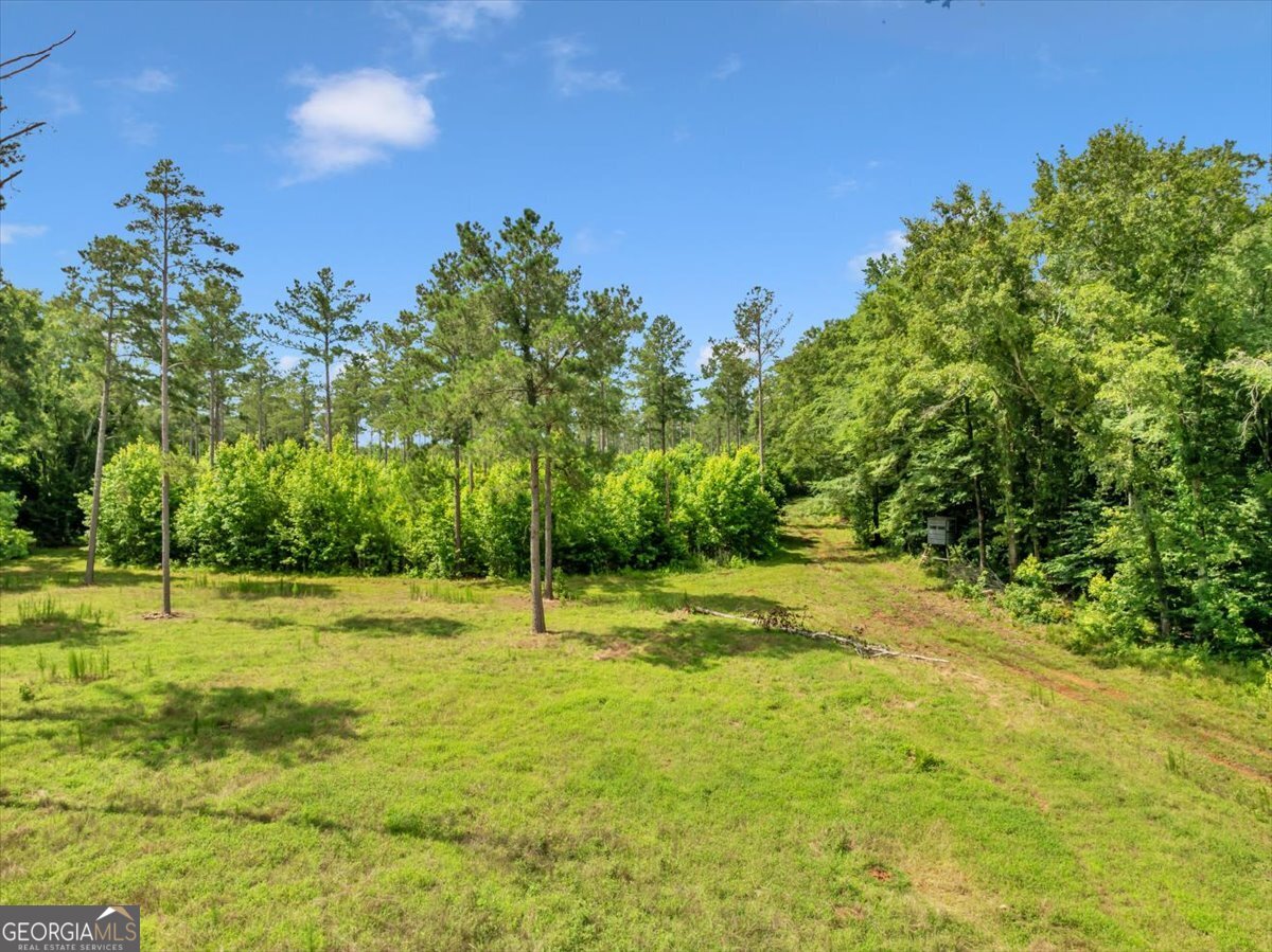 335 Highway 26 Elko, GA 31025 - Photo 20 of 54 a view of a field with trees in the background