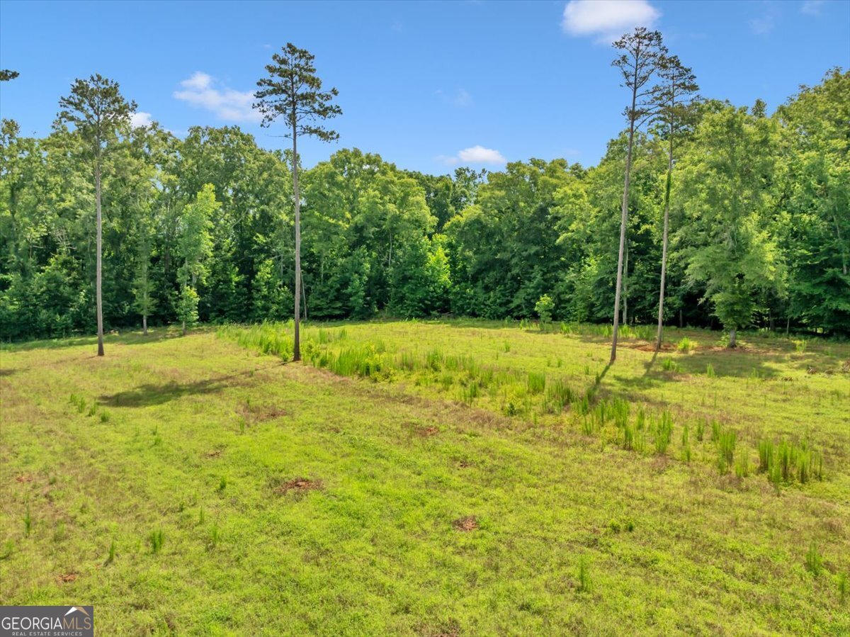 335 Highway 26 Elko, GA 31025 - Photo 21 of 54 a view of a with basketball court