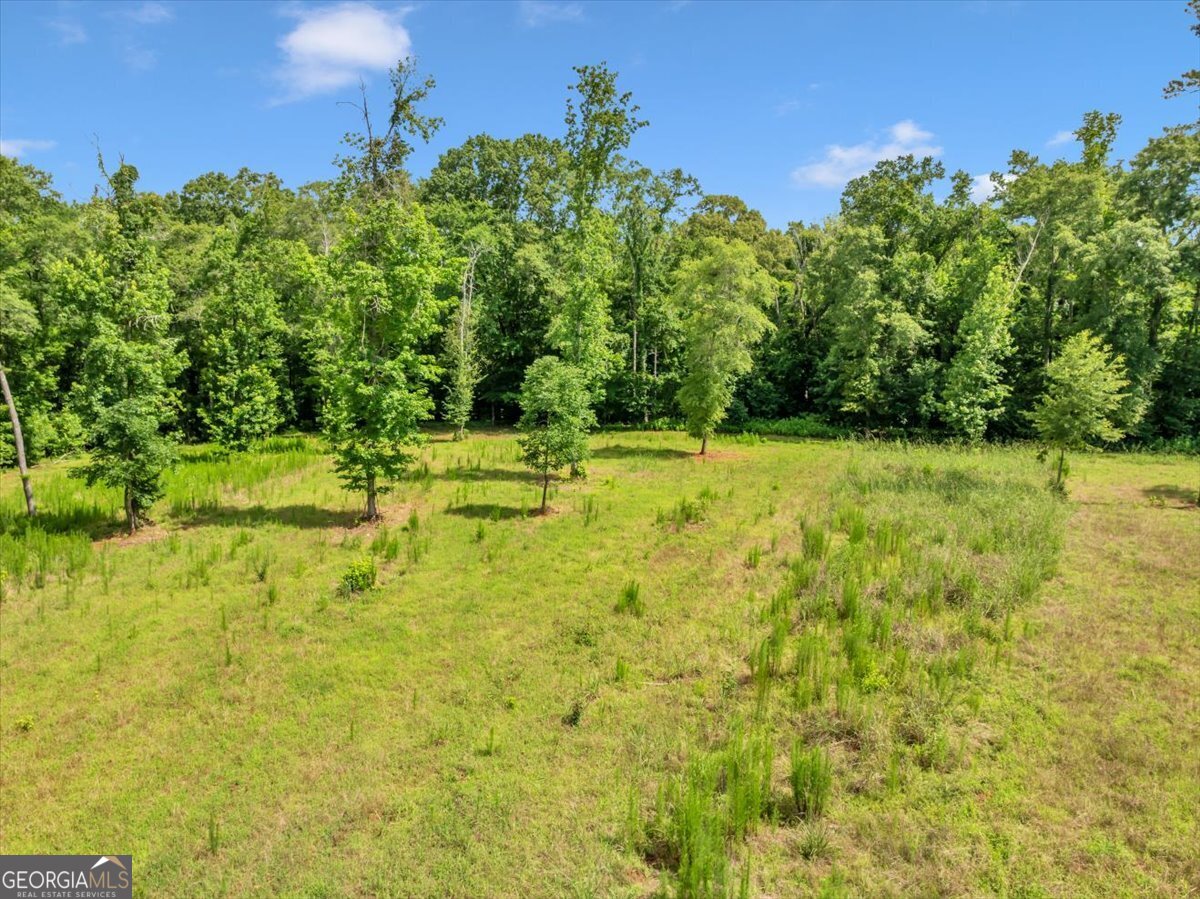 335 Highway 26 Elko, GA 31025 - Photo 22 of 54 a backyard of a house with lots of green space and plants
