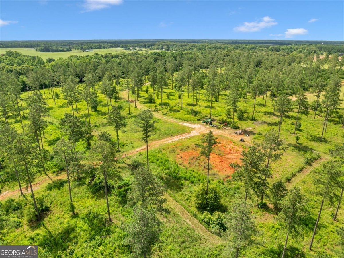 335 Highway 26 Elko, GA 31025 - Photo 23 of 54 a view of an outdoor space and a yard