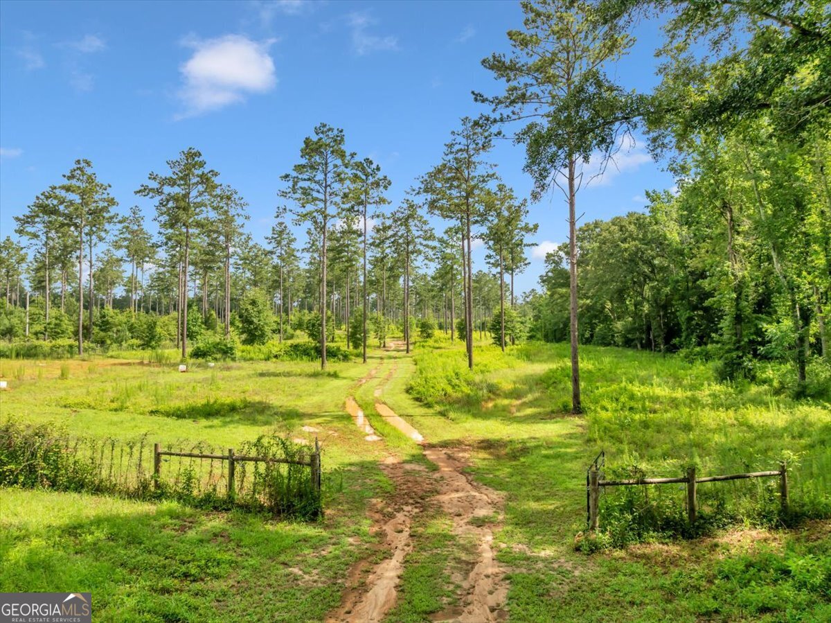 335 Highway 26 Elko, GA 31025 - Photo 35 of 54