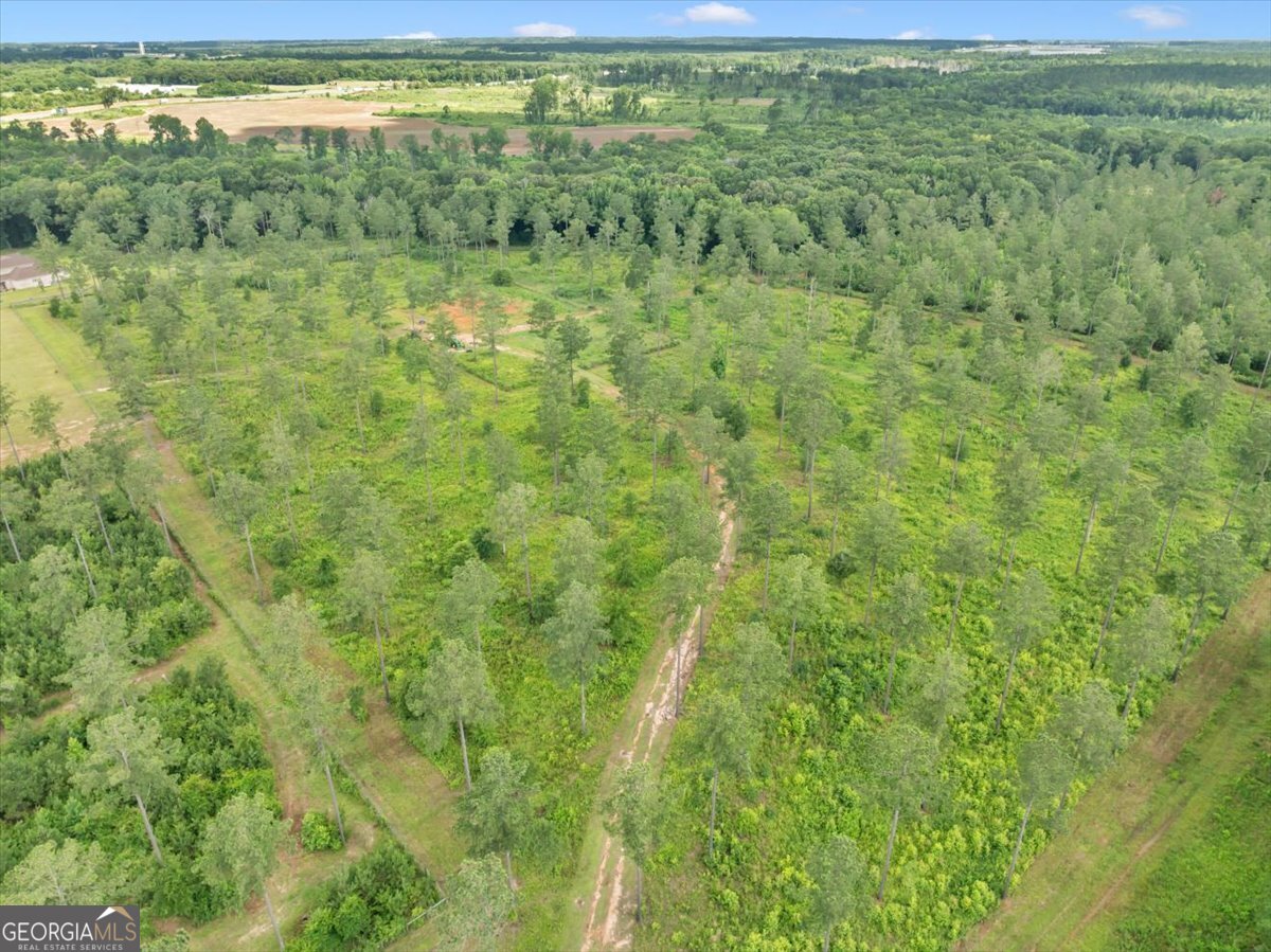335 Highway 26 Elko, GA 31025 - Photo 39 of 54 a view of a big yard with large trees