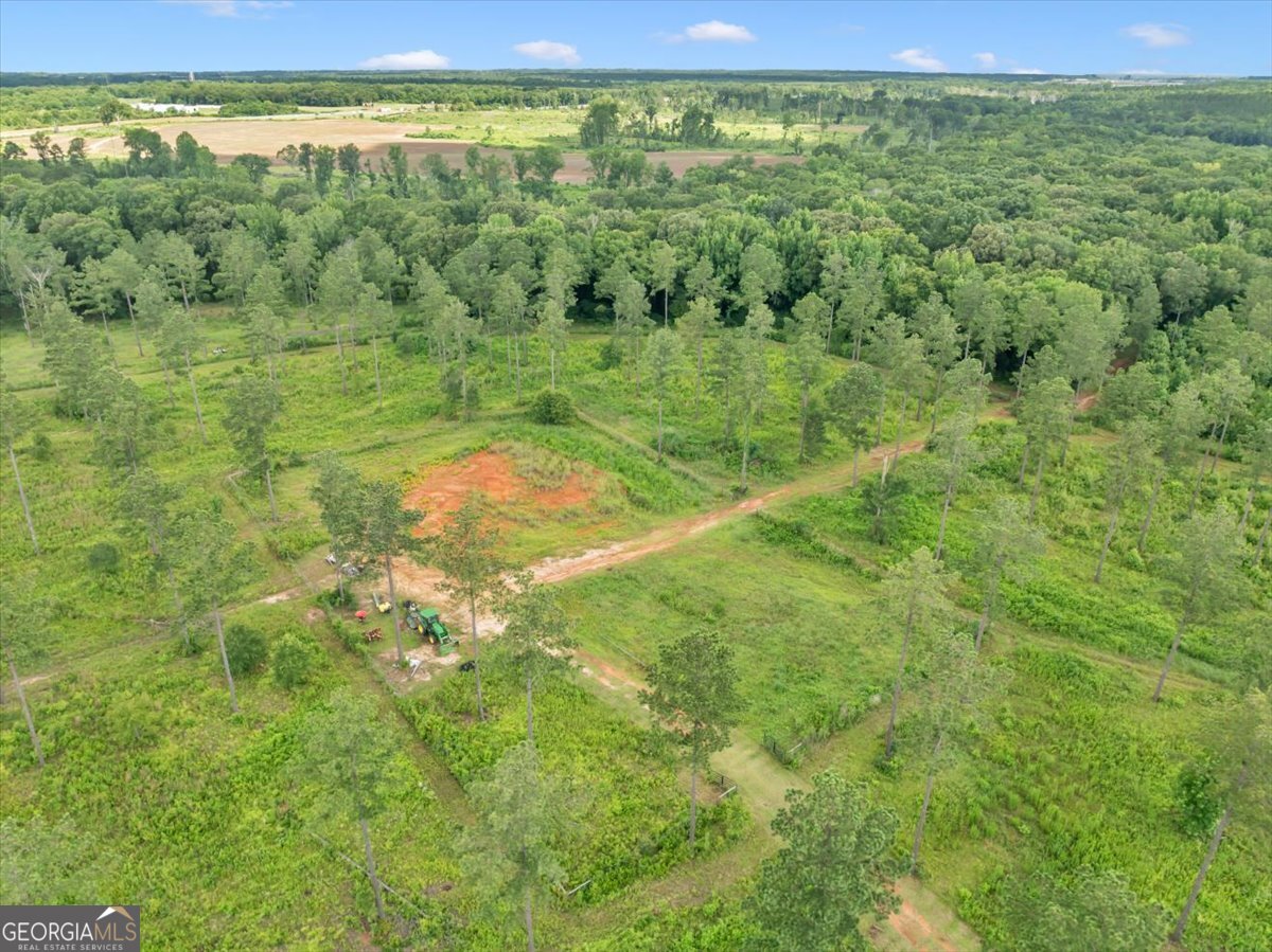 335 Highway 26 Elko, GA 31025 - Photo 40 of 54 a view of a lush green space