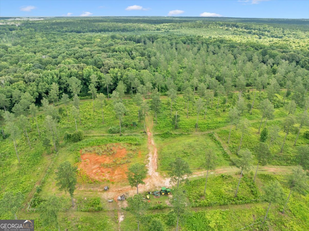 335 Highway 26 Elko, GA 31025 - Photo 41 of 54 a view of a garden with a lake