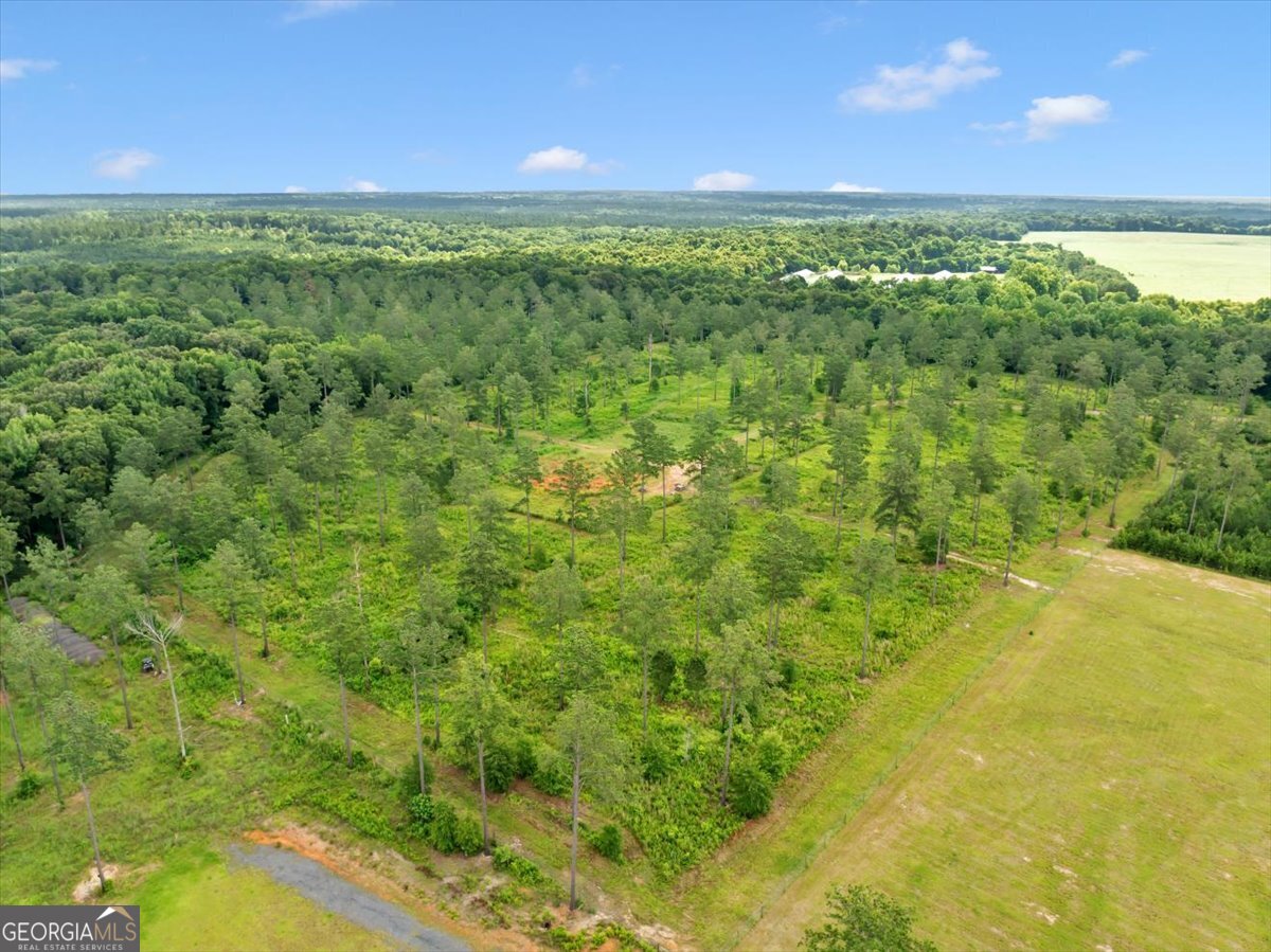 335 Highway 26 Elko, GA 31025 - Photo 42 of 54 a view of a green field with lots of trees in it